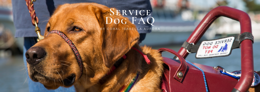 Service Dog FAQ