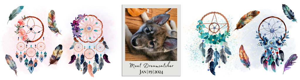 Meet Dreamcatcher